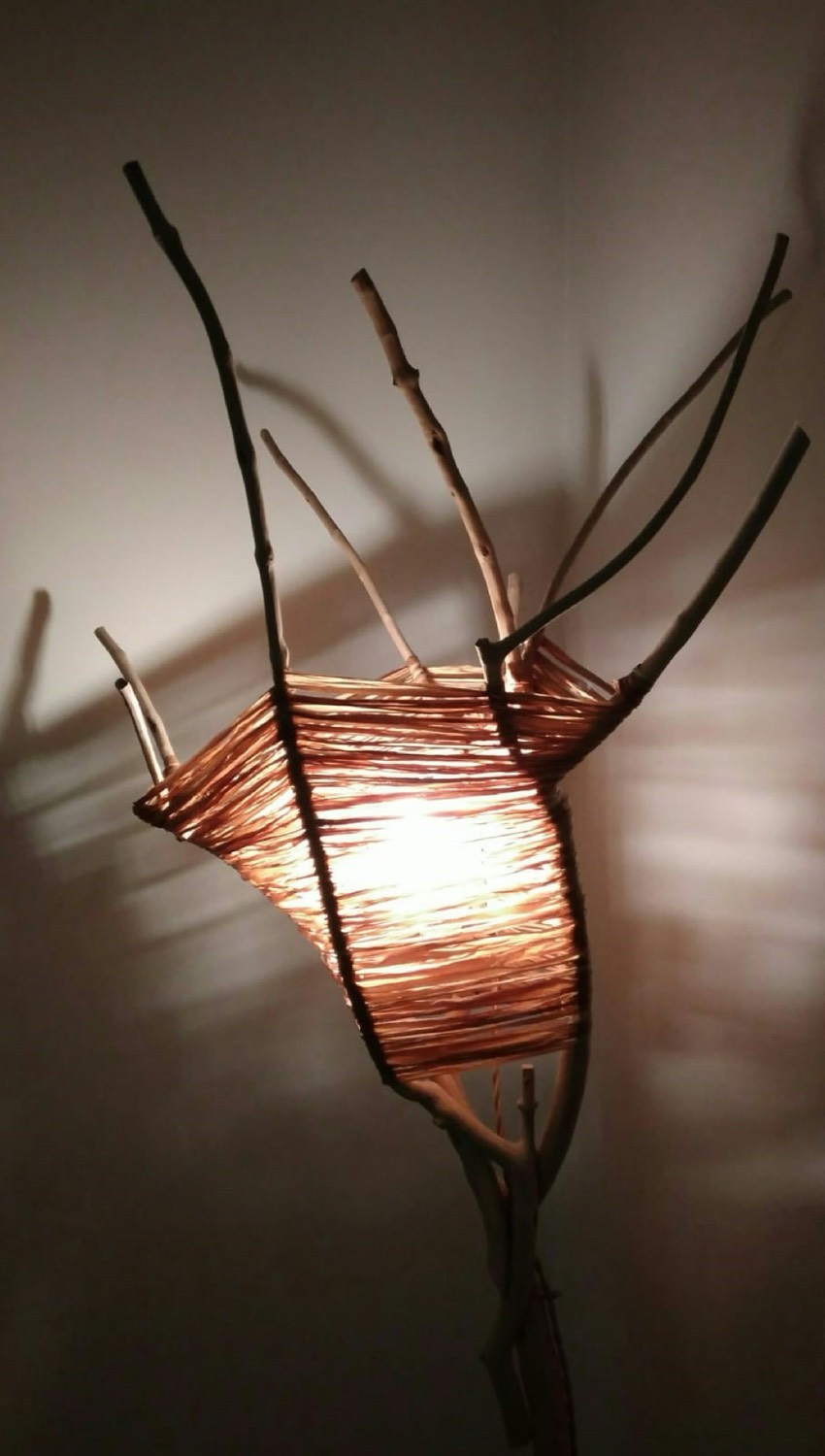 Piantana 3